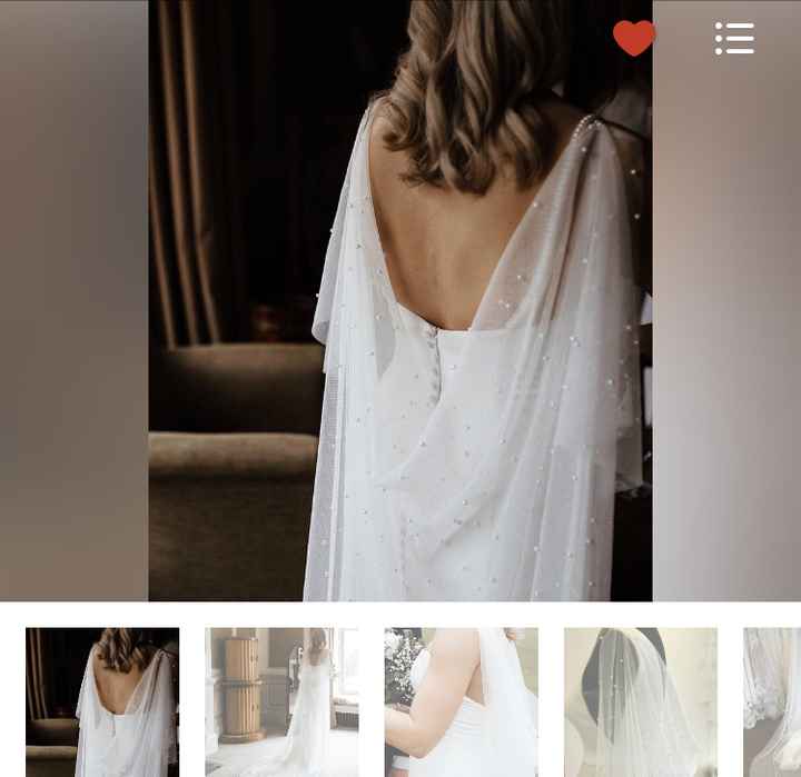 Regular Veil or Cape - 1