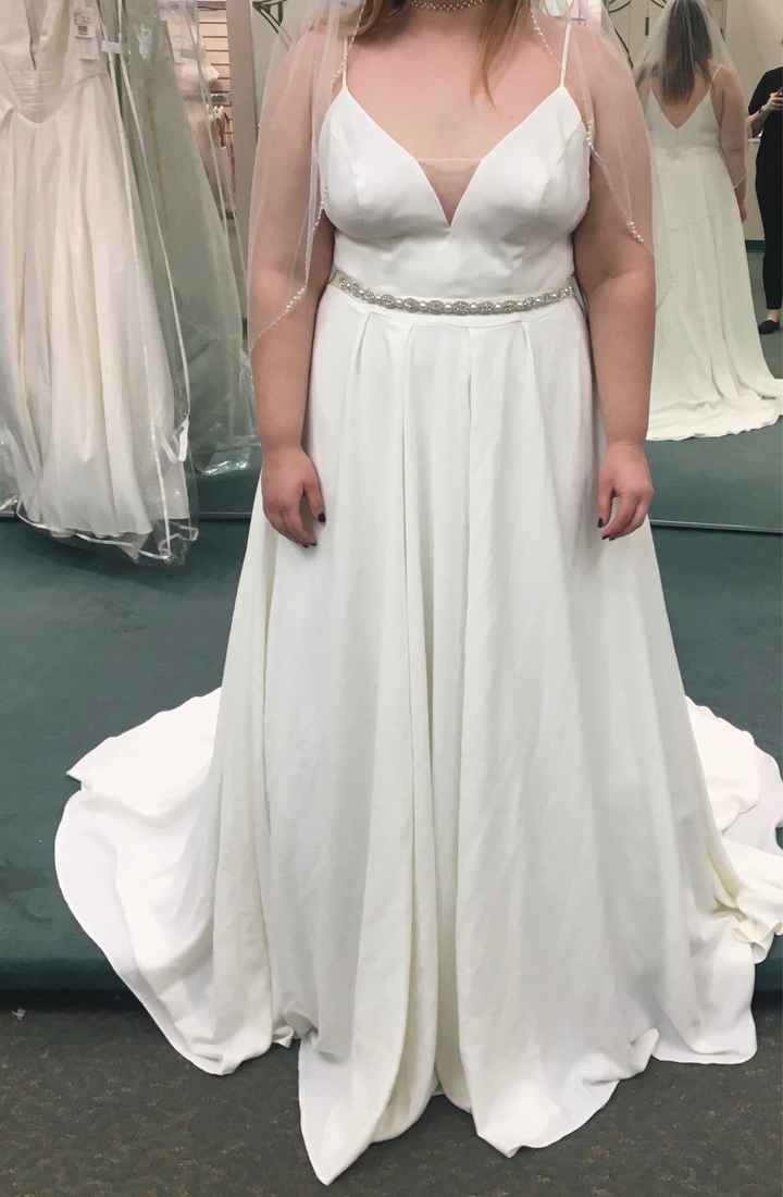 Regular Veil or Cape - 1