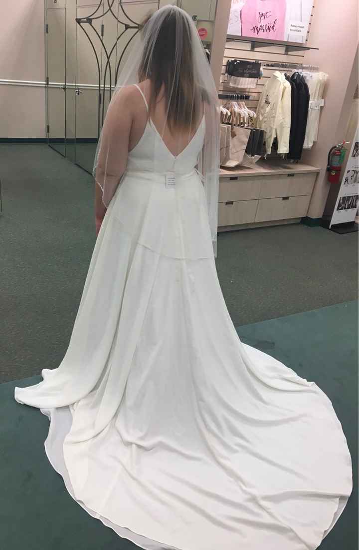 Regular Veil or Cape - 2