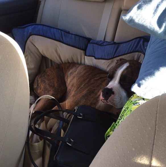 NWR - Moving out of state tips/advice?