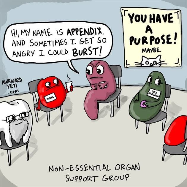 NWR: surgery pick me ups
