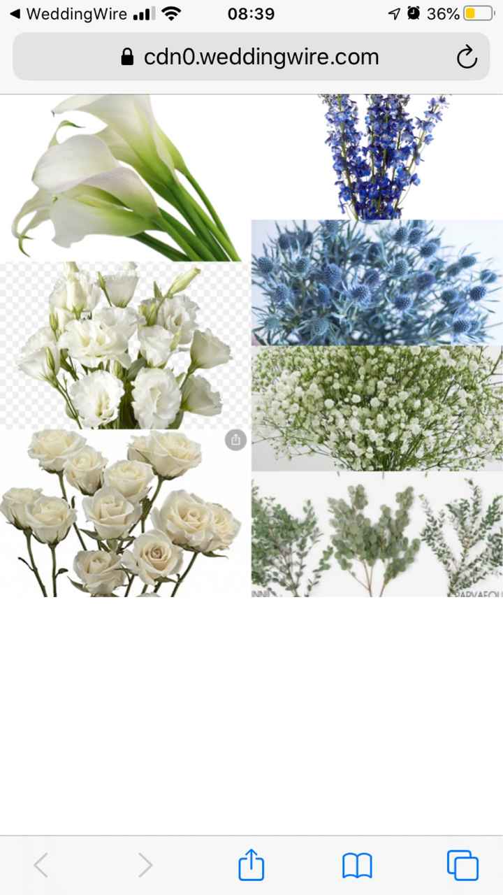 help Bridesmaid Color - 2