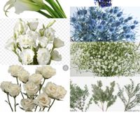 help Bridesmaid Color - 2