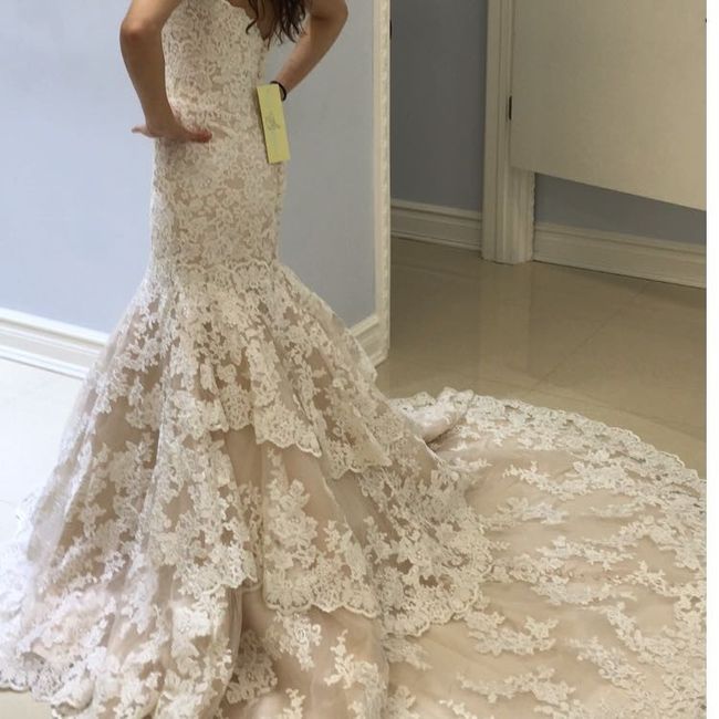 Wedding Dress Colors