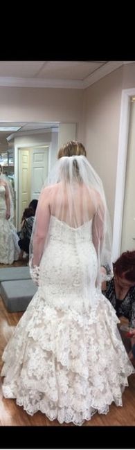 Dress opinions please!!!
