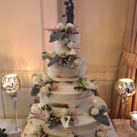 I only came for the cake!!!!