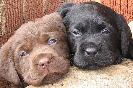 AWWWWWW