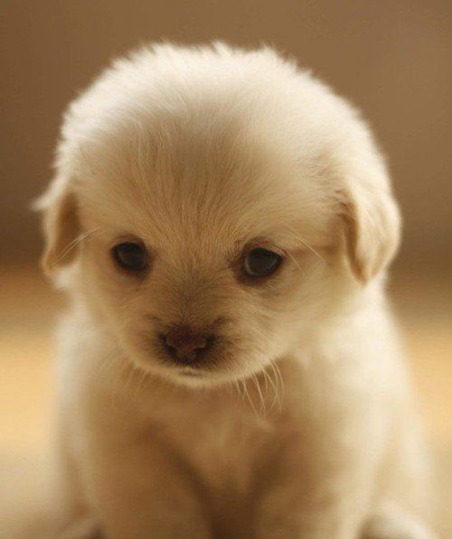 AWWWWWW