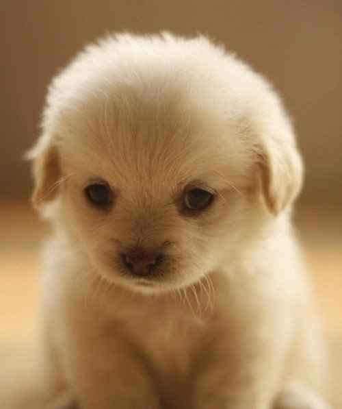 AWWWWWW
