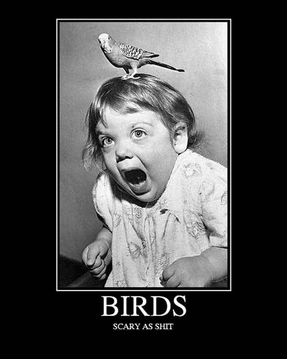 NWR: Weird Phobias and Frights