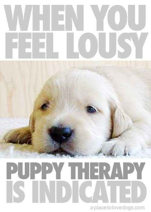 NWR: Emergency Cute