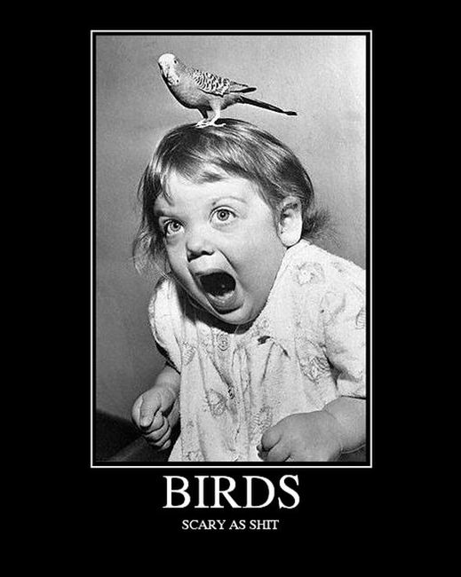 NWR: Weird Phobias and Frights