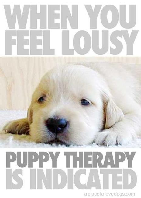 NWR: Emergency Cute
