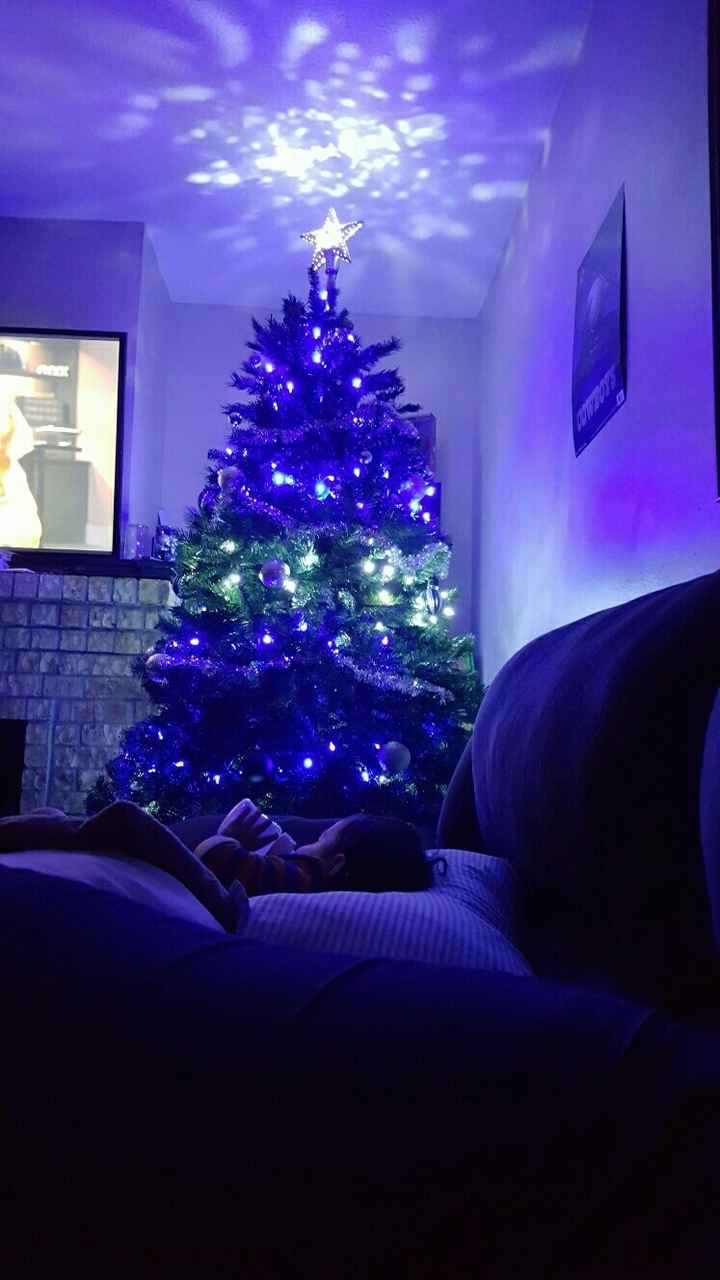 NWR-show me your Xmas trees