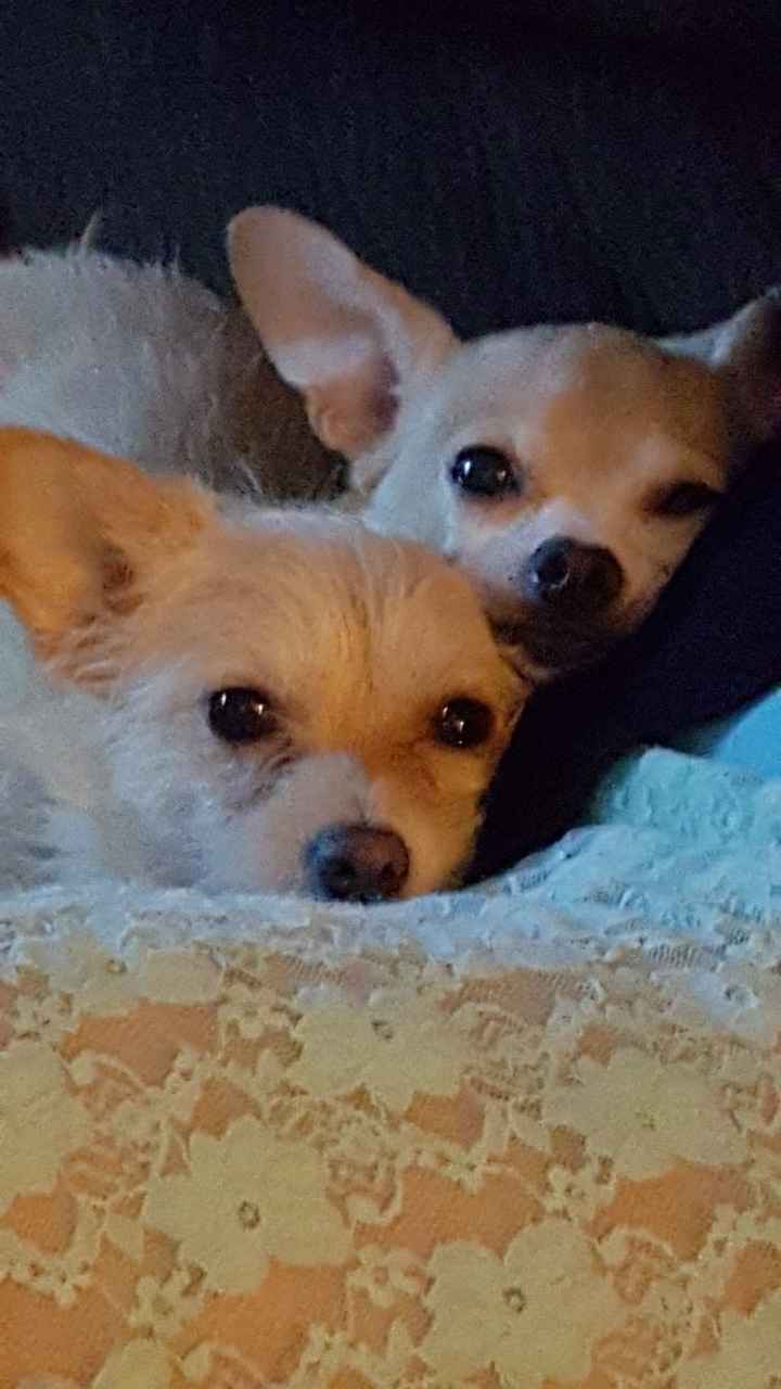 NWR: Worst. Day. Ever. Upate