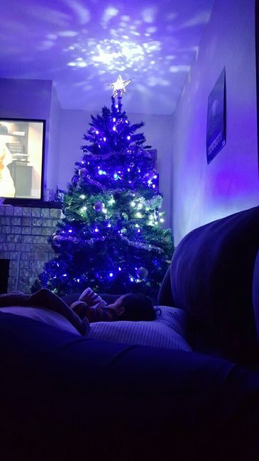 NWR-show me your Xmas trees