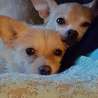 NWR: Worst. Day. Ever. Upate