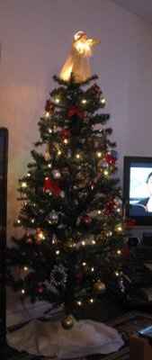 NWR- Lets see your Christmas trees!!!