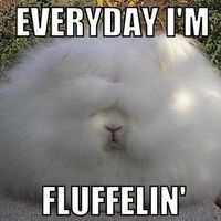 Good Morning Wedding Wire! (said in Robin Williams' "Good Morning Vietnam" voice!)