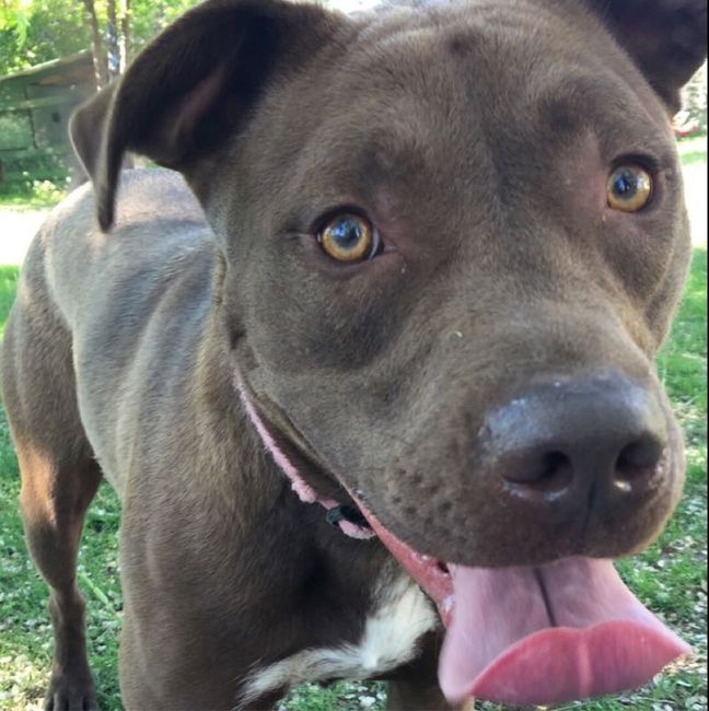 NWR - Pet pictures