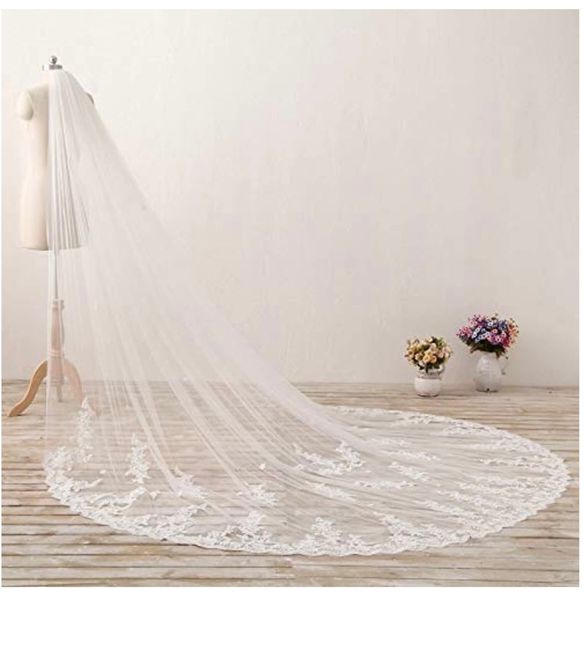 16.5 ft veil with appliqué & hair updo 1