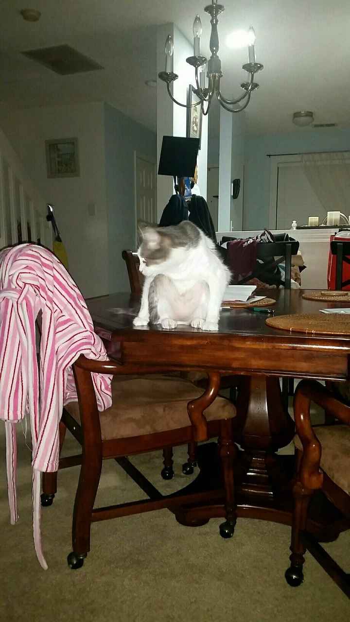 NWR: I didn't get the promotion