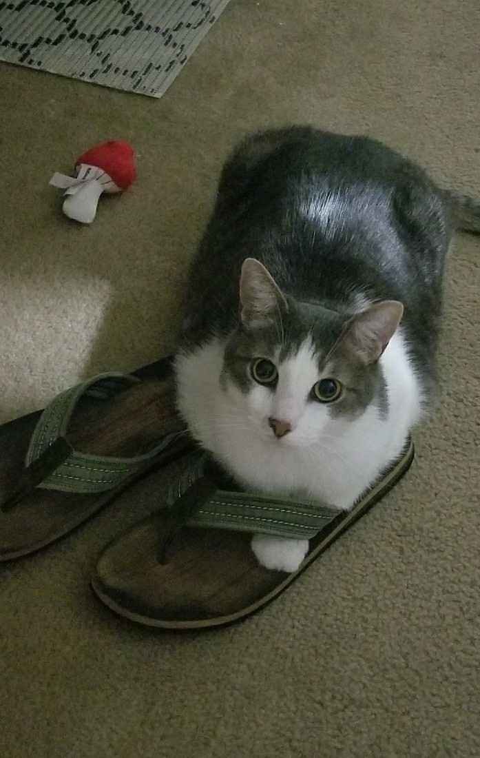 Something old, something new...