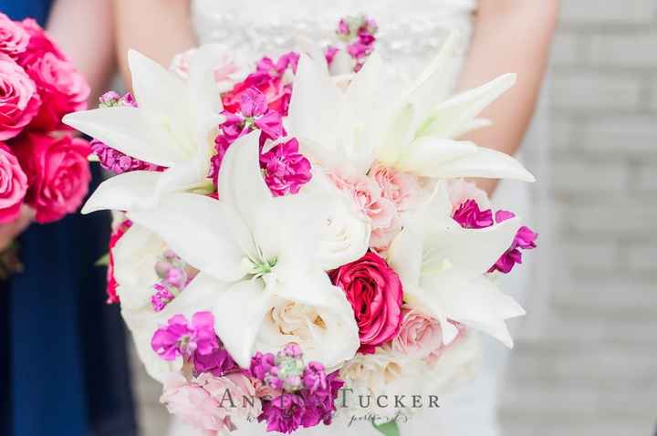 Our pro BAM! Word and pic heavy!