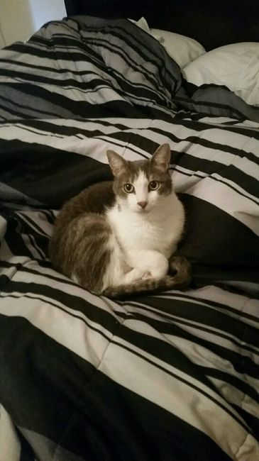 NWR- pets! We love them show me yours :)