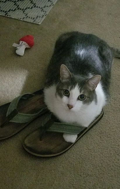 Something old, something new...