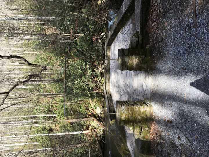 Show me your ceremony backdrops:)