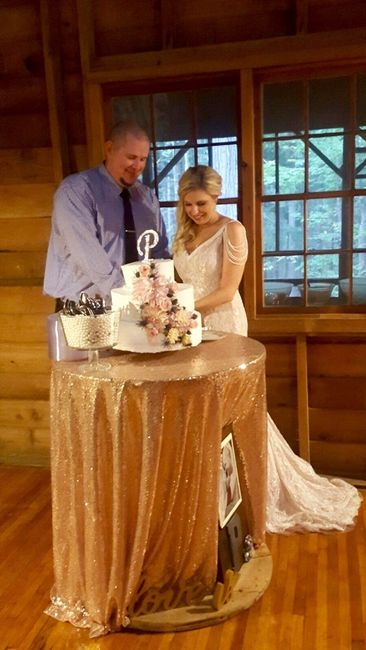 Sequin Table Clothes-anyone use or planning to use?