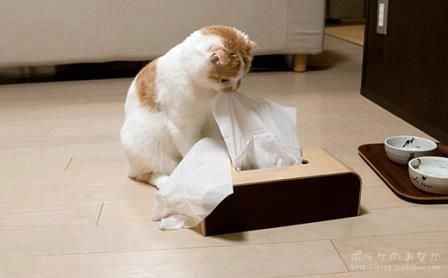 Oh Hey! Discussion....Maybe?