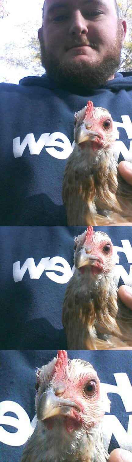 NWR. Just a dumb rant about nothing.