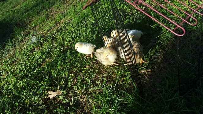 Guys, my boudoir shoot!