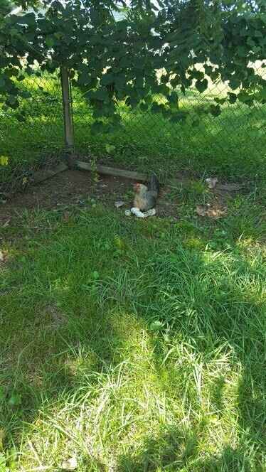 Is there any way to contact a mod?