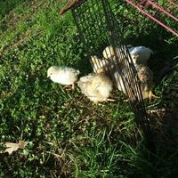 Guys, my boudoir shoot!