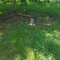 Is there any way to contact a mod?