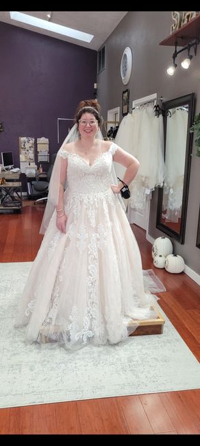 Brides of 2022 - Dress Pics! 1