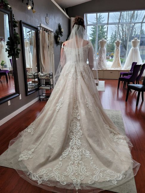 Brides of 2022 - Dress Pics! 2