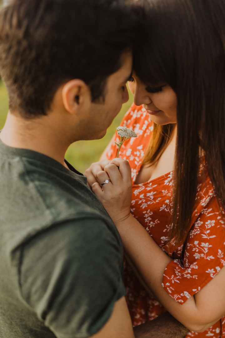 Second Engagement Pictures - 2