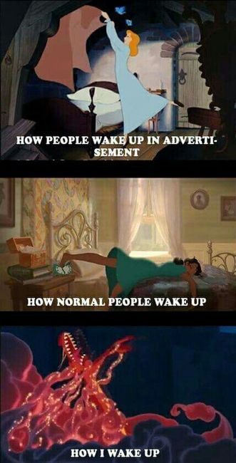 Saw this picture. I relate 100%