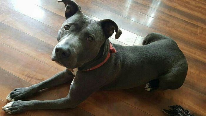 Spinoff: Show us your rescues!