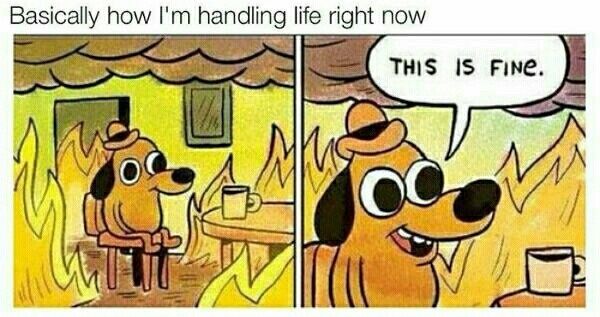Meme theme of your day?