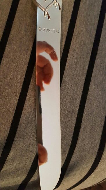 Help - cake knife?