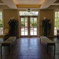 Ideas for decorating my Venue to seem more "natural"?