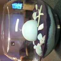 Need input on centerpieces!