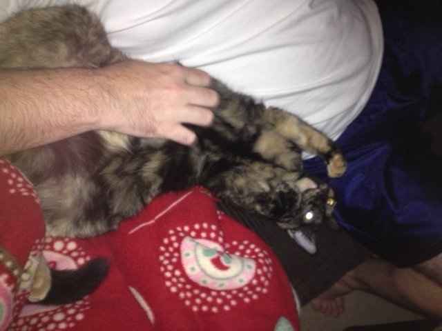 Just for fun, lets see your crazy pet child....