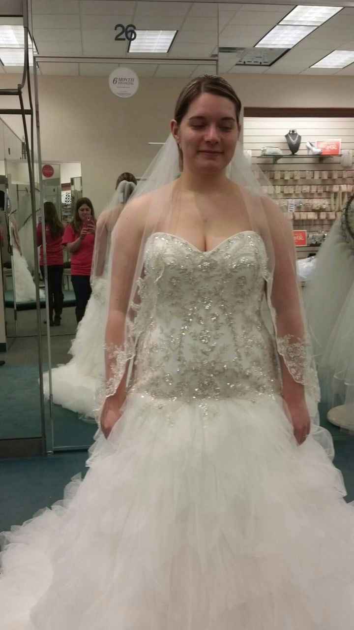 Said YES TO THE DRESS!