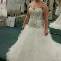 Said YES TO THE DRESS!